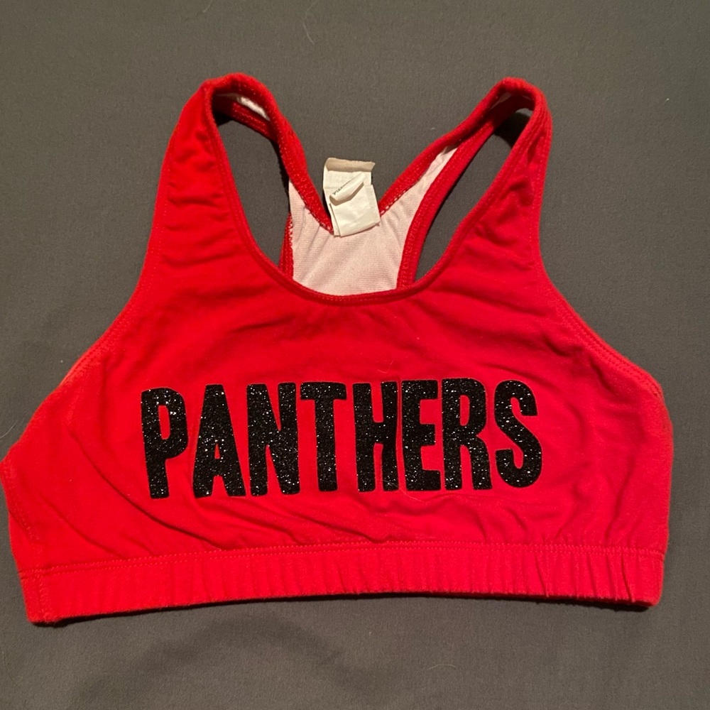 Cheer Athletics Panthers Sports Bra - Picture 1 of 2